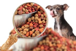 Hundefutter unter einer Lupe