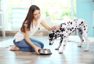 ein Frau füttert Ihren Hund