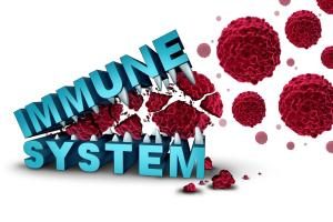 eine Grafik mit dem Wort Immunsystem
