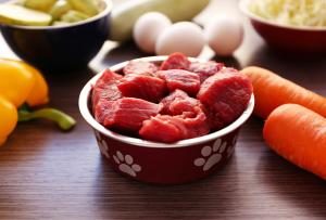 Fleisch und Gemüse für Hundefutter