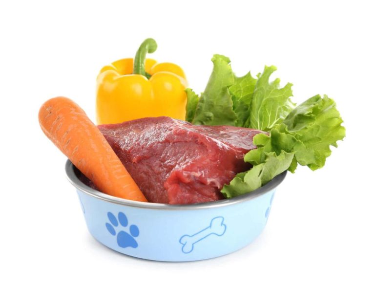 getreidefreies Hundefutter