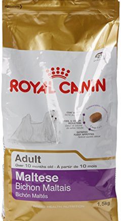 Royal Canin Maltese 24 Adult › hundefutter-blog.de
