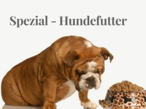 Spezial Hundefutter