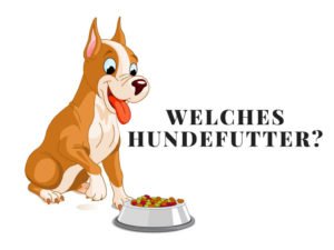 Welches Hundefutter